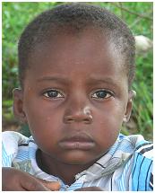 FEED600orphan