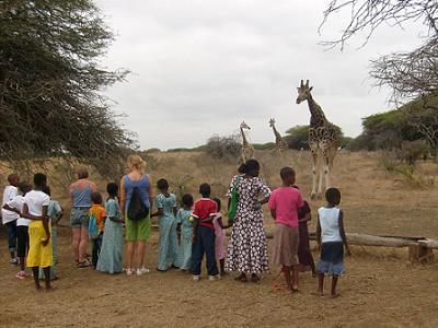 giraffe